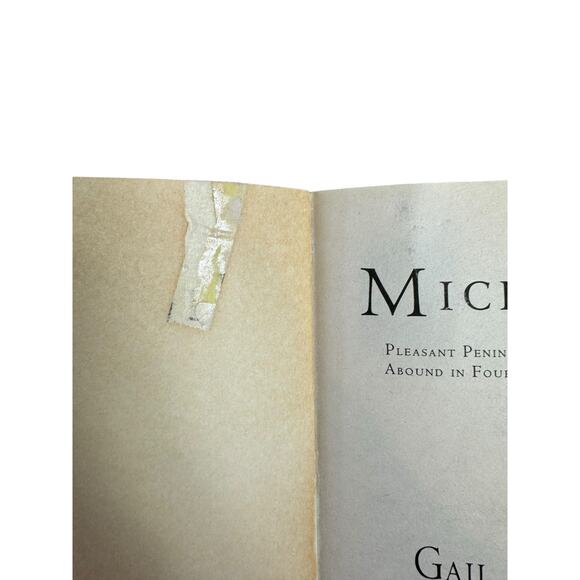 Michigan by Gail Gaymer Martin (Paperback) - Picture 7 of 8